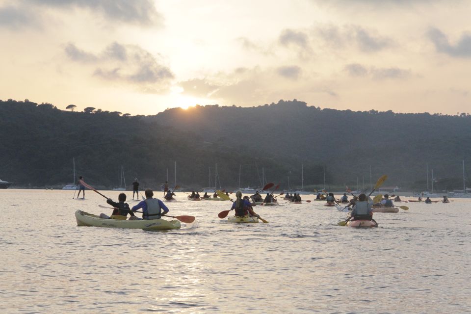 Sunset Trip Kayak Tour in the Gulf of Saint-Tropez - Key Points