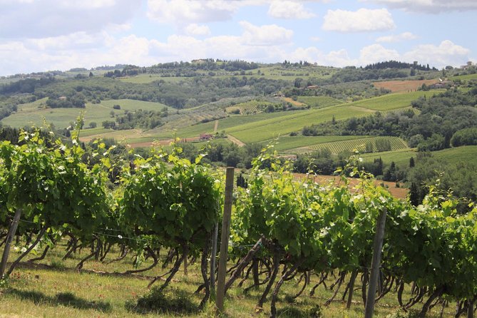 Supertuscan Wine Tour - Masterclass by a Wine Expert - Key Points