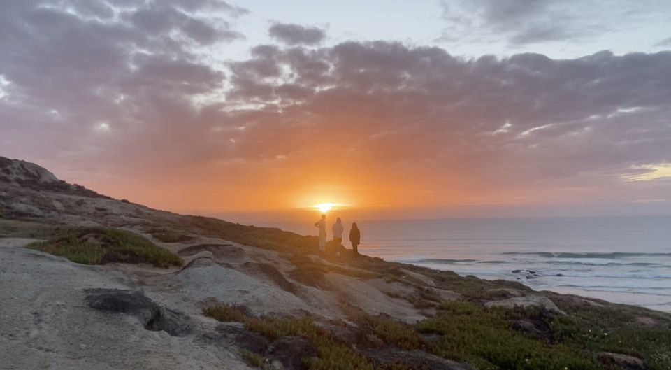 Surf Guiding in Portugal - Key Points