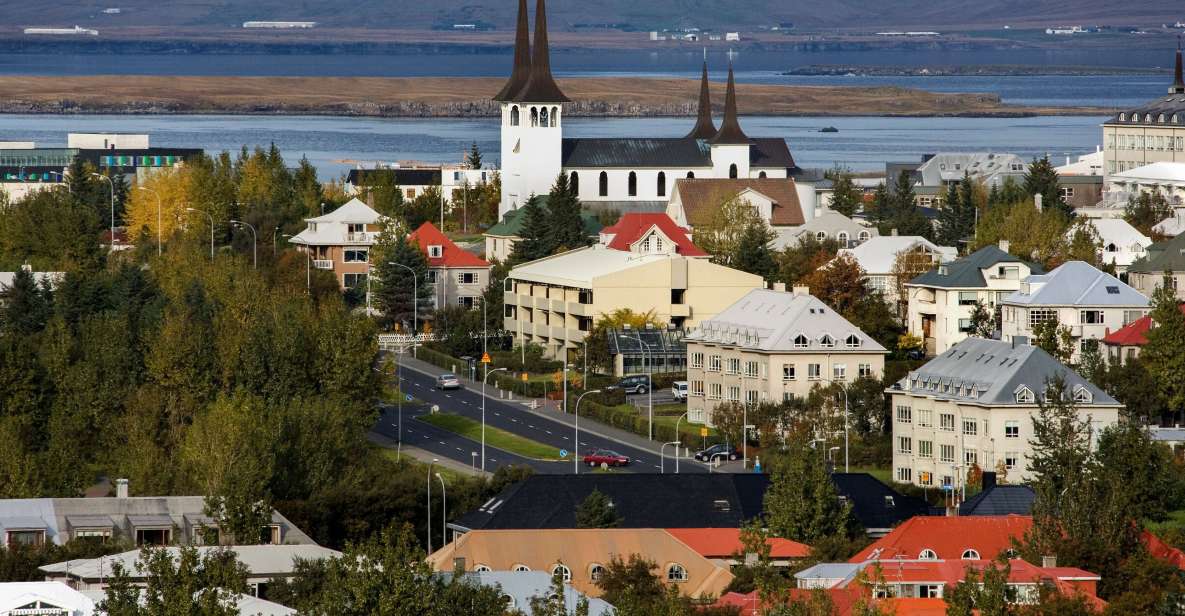 Surprise Tour of Reykjavik Guided by a Local - Key Points