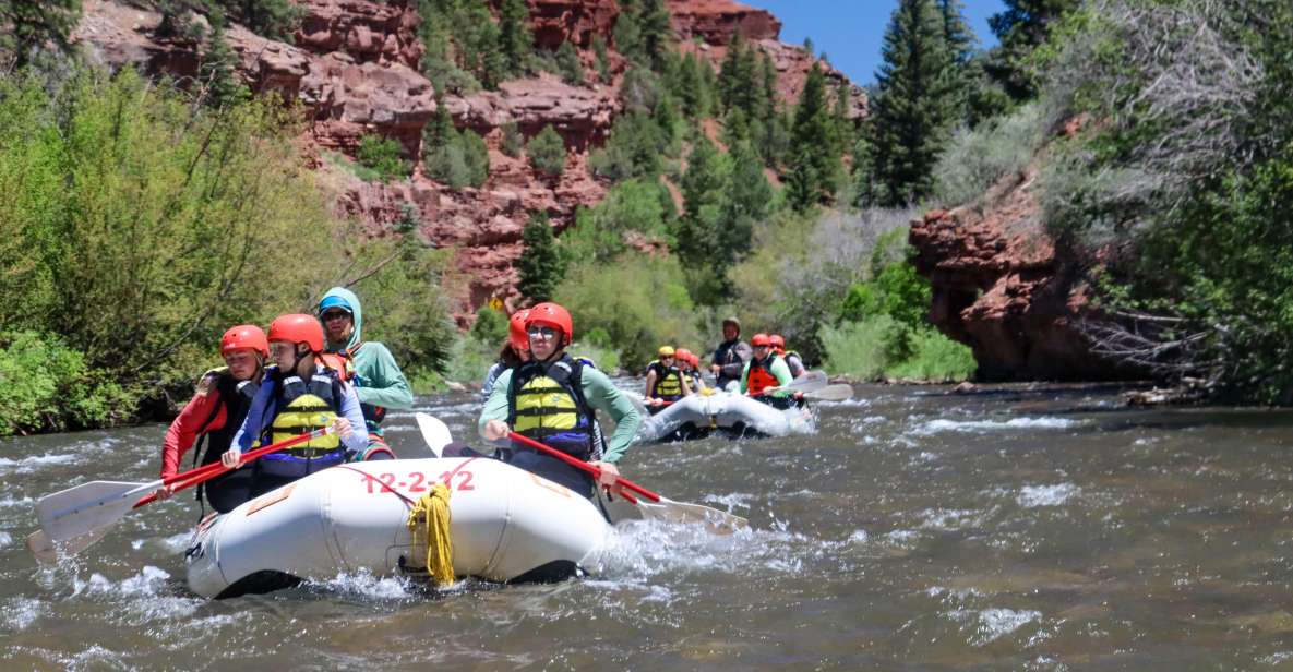 Telluride Whitewater Rafting - Full Day With Lunch - Key Points