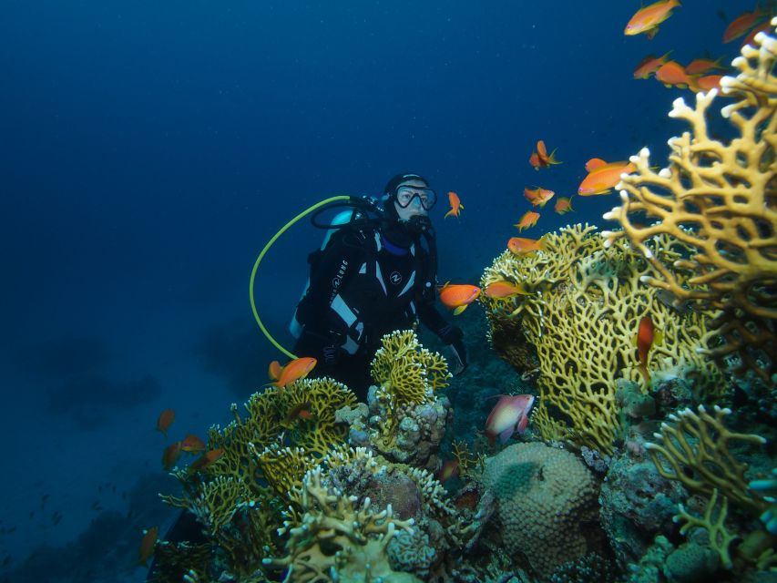 Tenerife: 3-Day Open Water Scuba Diver Course - Key Points