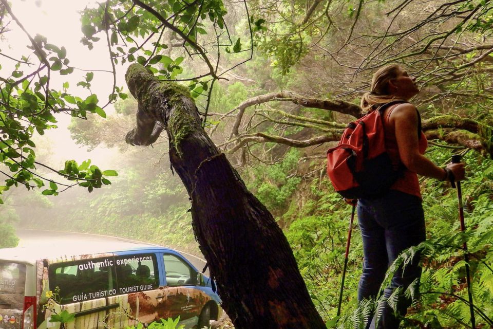 Tenerife: Anaga Rural Park Private Tour - Key Points