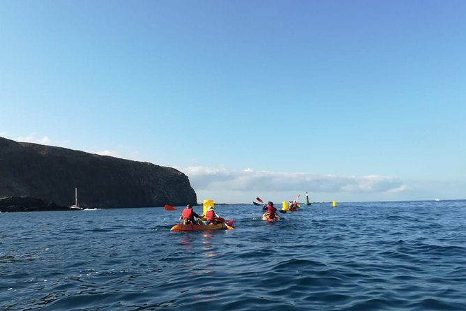 Tenerife by Kayak and Snorkeling Adventure in Small Group - Key Points