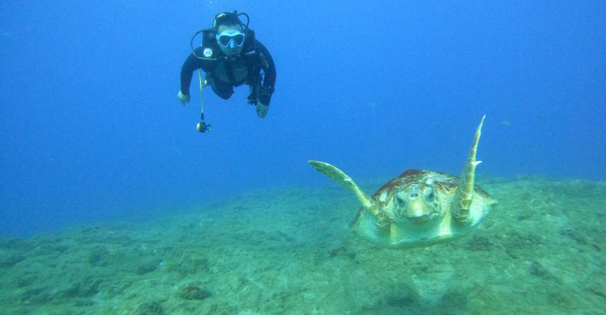 Tenerife: PADI Advanced Open Water Diver Course - Key Points