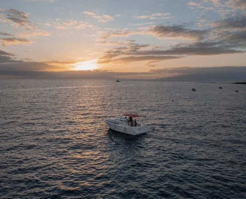 Tenerife: Private Luxury Sunset Boat Experience - Key Points