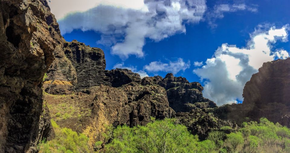 Tenerife: Teide National Park & Teno Rural Park Private Tour - Key Points