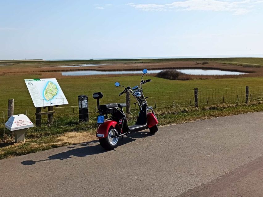 Texel: E-Scooter Rental - Exploring Texels Landscapes