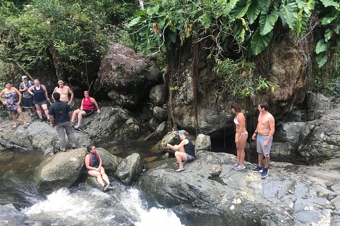 The El Yunque Rainforest Tour From Fajardo - Hike Difficulty and Requirements