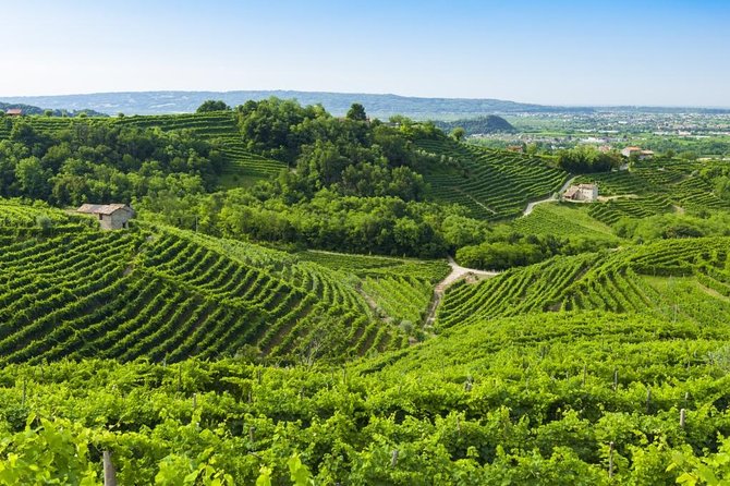 The Original Private Prosecco Tour All Inclusive From Conegliano - Key Points