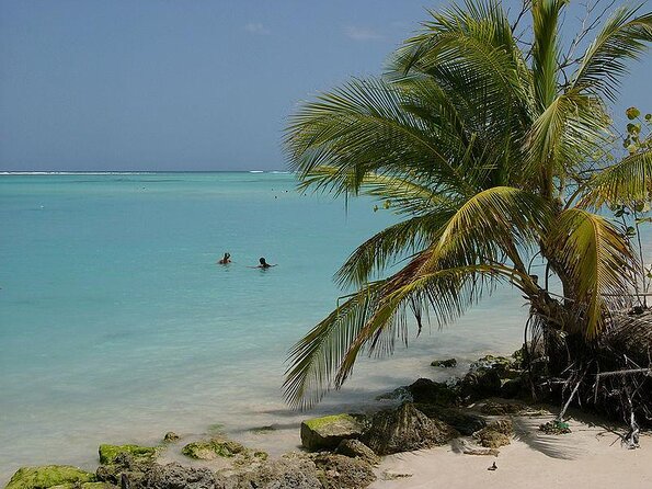 Tobago Buccoo Reef Glass Bottom Boat Tour - Key Points