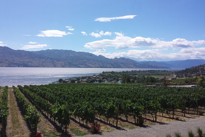 Tour and Taste Okanagans Wine Country - Key Points