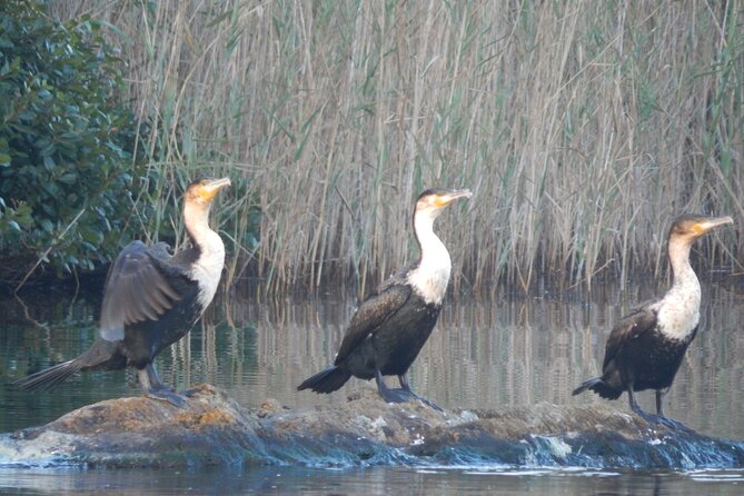 Touw River Boat Cruise - Wilderness National Park - Overview of Wilderness National Park