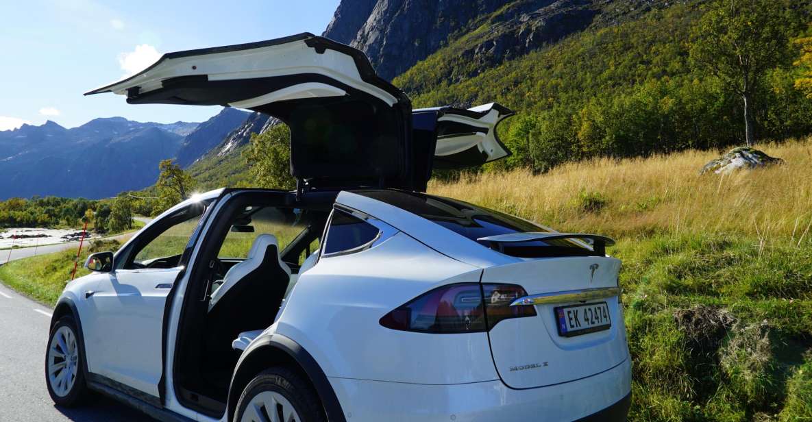 Tromsø: Fjord Sightseeing in a Tesla X Luxury Electric Car - Key Points