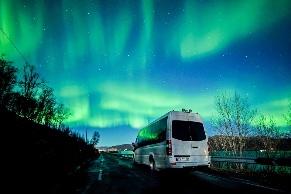 Tromsø: Northern Lights Chase Minibus Tour With Campfire - Key Points