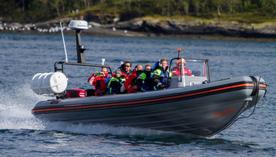 Tromsø: RIB-Boat Excursion to Hella - Key Points