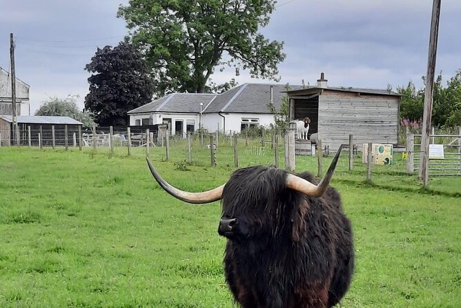 Urquhart Castle, Culloden, Loch Ness Centre, Gin, Outlander Sites - Explore Culloden Battlefield