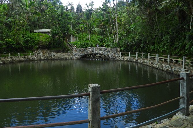 USDA El Yunque National Forest and Luquillo Beach Tour - Tour Overview and Details