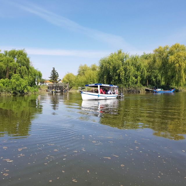 Valada Do Ribatejo: Tejo River Boat Trip - Activity Overview