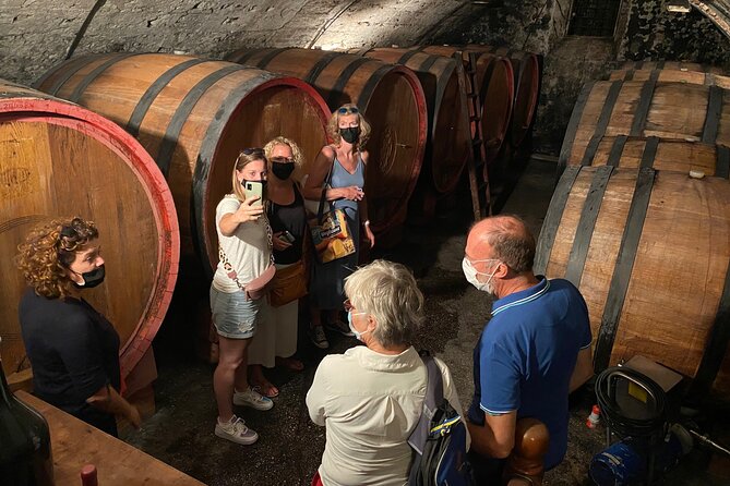 Valpolicella Wine Tour: Explore 3 Wineries, Lunch & Amarone Focus - Key Points