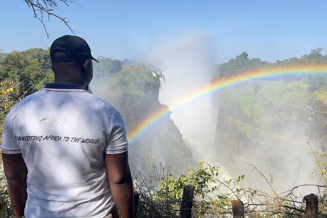 Victoria Falls: Private Guided Tour of the Falls - Key Points