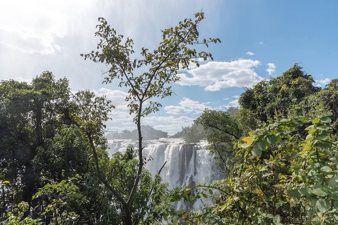 Victoria Falls Tour - Location and Operator