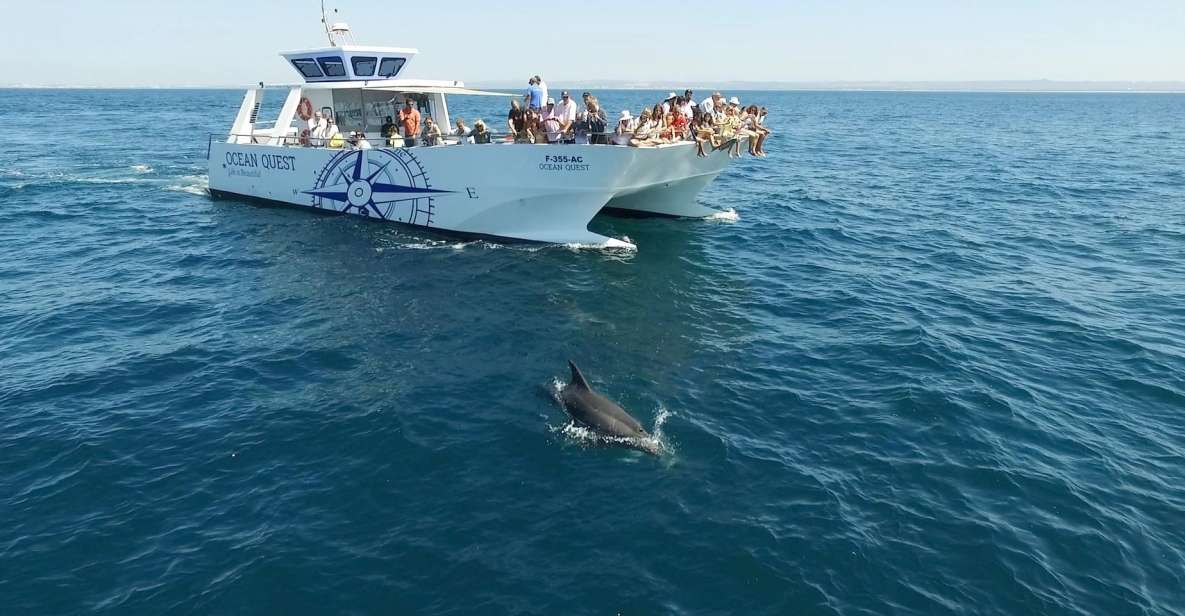 Vilamoura: Boat Tour Dolphin Quest - Key Points