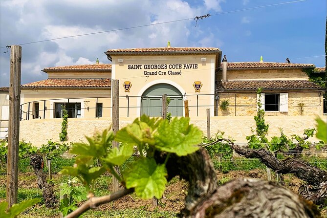 Visit and Tasting Château Saint-Georges Côte Pavie, Grand Cru Classé - Key Points