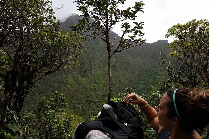 Volcano Crater Hiking Tour in St Kitts - Tour Overview