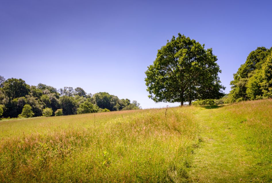 Wakehurst: Botanical Garden Entry Ticket - Key Points