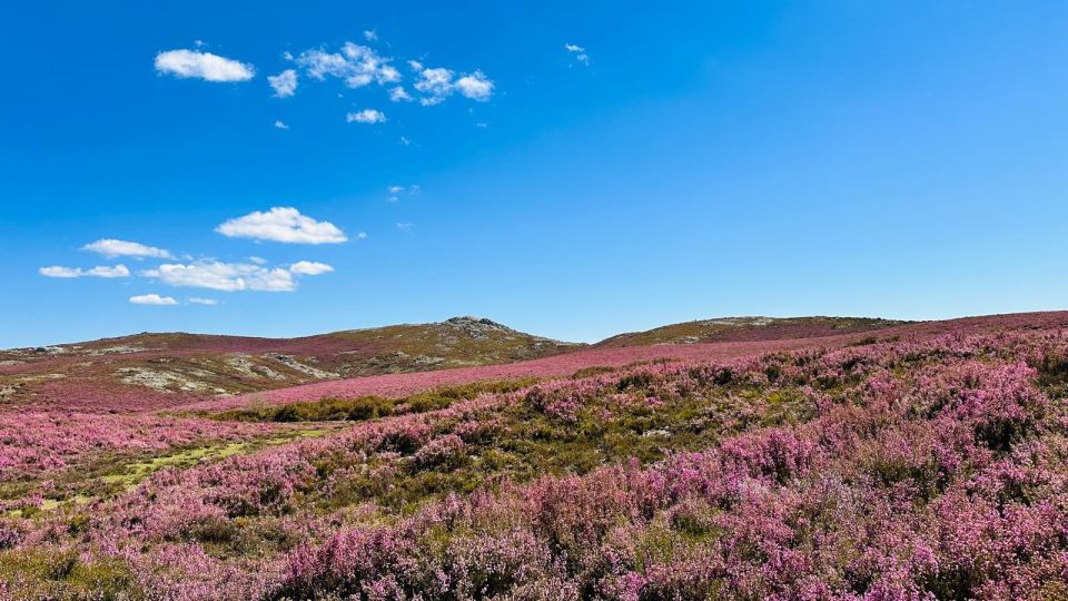 Walk & Picnic Peneda Gerês National Park - Guided - Key Points