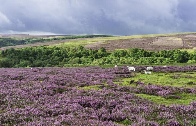 Whitby and the North York Moors Day Trip From York - Key Points