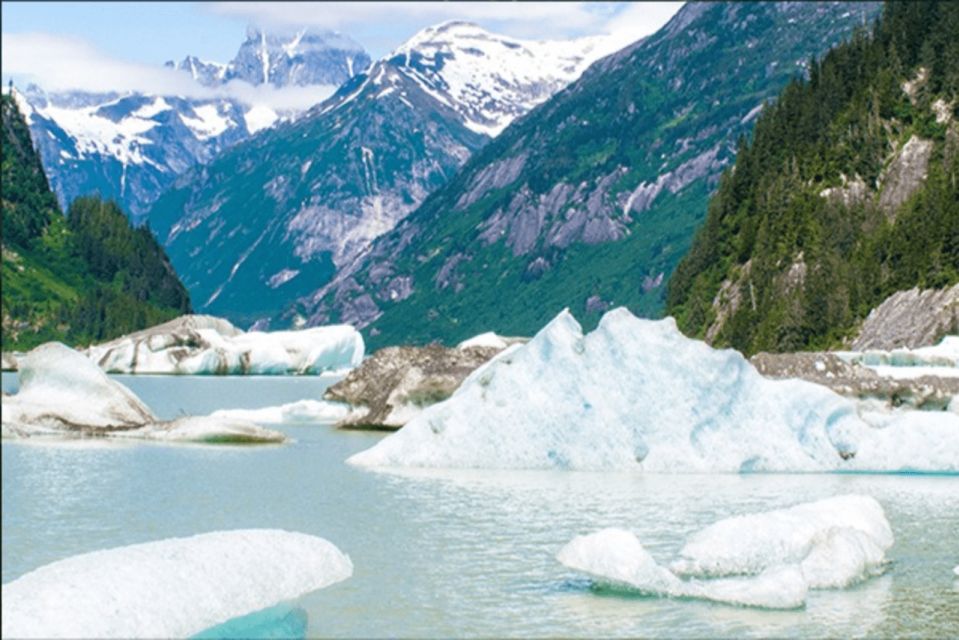 Wrangell: Stikine River Boat Tour - Key Points