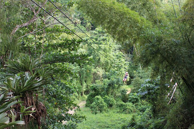 Zipline, Tubing and Island Gully Falls at White River - Overview of the Experience