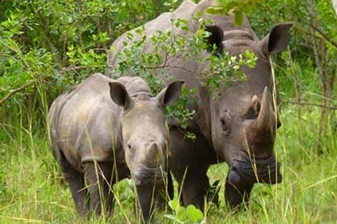 Ziwa Rhino Sanctuary Key Points