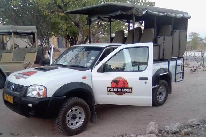 (1/2 Day) Discovery Of Etosha Park In 4x4 Of Nine Places With Local Guides Key Points