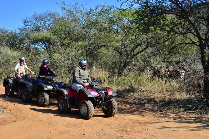 1 Hour Quad Biking Nature Trail at Sun City - Key Points