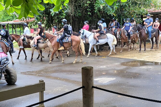 1 or 2 Hour Puerto Rico Horseback Ride Experience! - Key Points