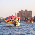 01 Hour Private Short Felucca Donut Boat Trip On The Nile In Cairo With Lunch Tour Overview