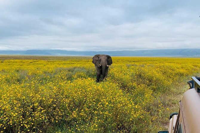 03 Days Serengeti And Ngorongoro Crater Group (camping) Serengeti And Ngorongoro Overview