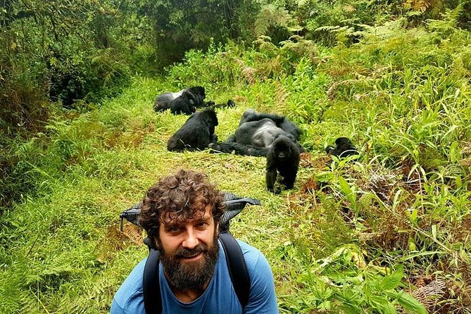 1 Day Gorilla Trekking Uganda - Overview of the Trekking Experience