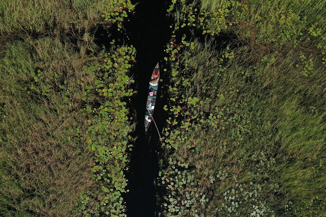 1 Day Okavango Delta Mokoro/canoe Daytrip Overview Of The Mokoro Daytrip