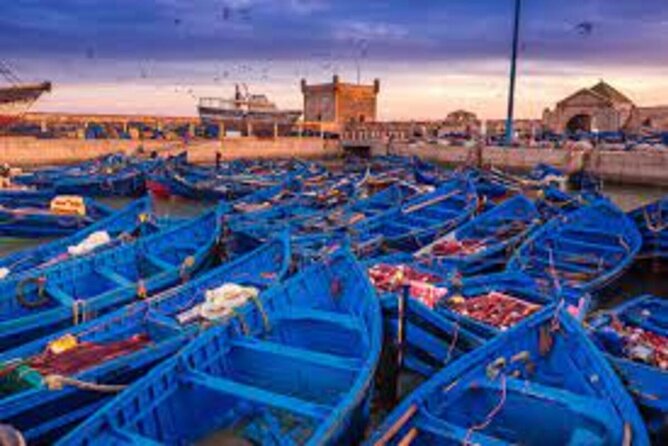 1 Day Private Trip From Marrakech to Essaouira - Transportation Arrangements