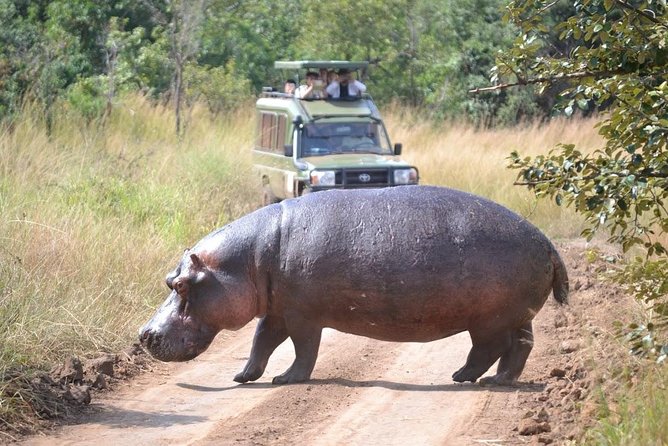 1 Day Safari To Akagera National Park Getting To Akagera National Park