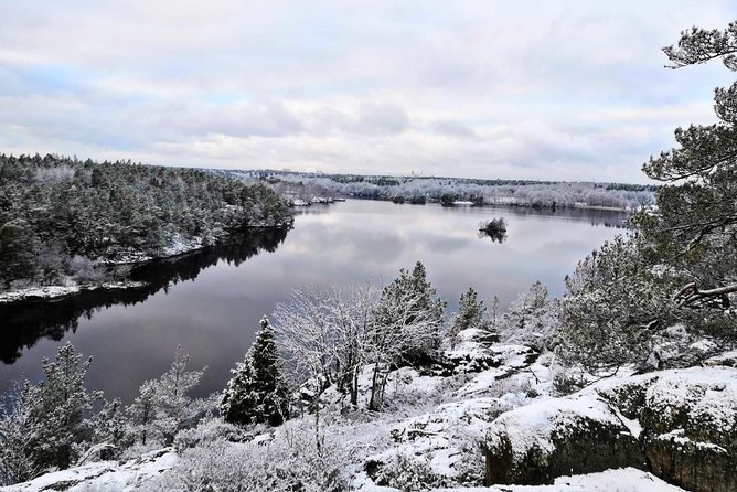 1-Day Small-Group Stockholm Nature Winter Hiking - Overview of the Experience