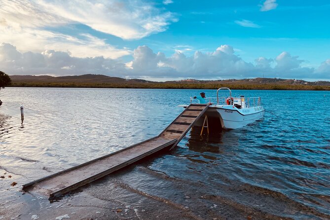 1 Hour Bioluminescent Boat Tour In Mosquito Bay, Vieques Whats Included