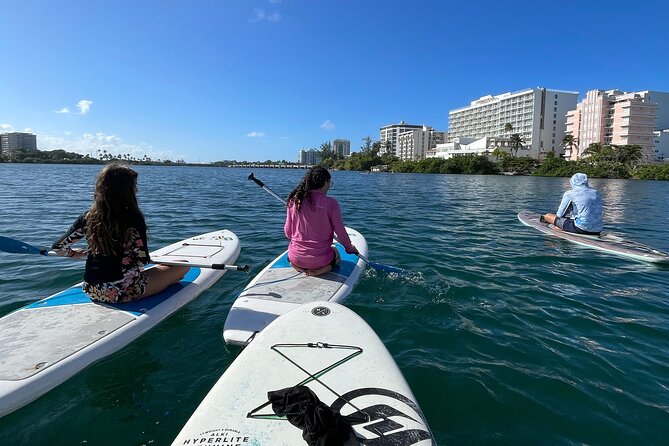 1 Hour Paddle Board In Condado Lagoon Meeting Point And Pickup