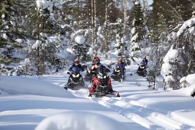 1 Hour Snowmobile Safari Adventure In Rovaniemi Overview Of The Adventure