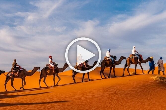 1 Night Camel Trekking In Merzouga Overview Of The Tour