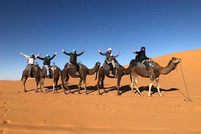 1 Night Camel Trekking Tour In Merzouga Desert Camp Overview Of The Tour